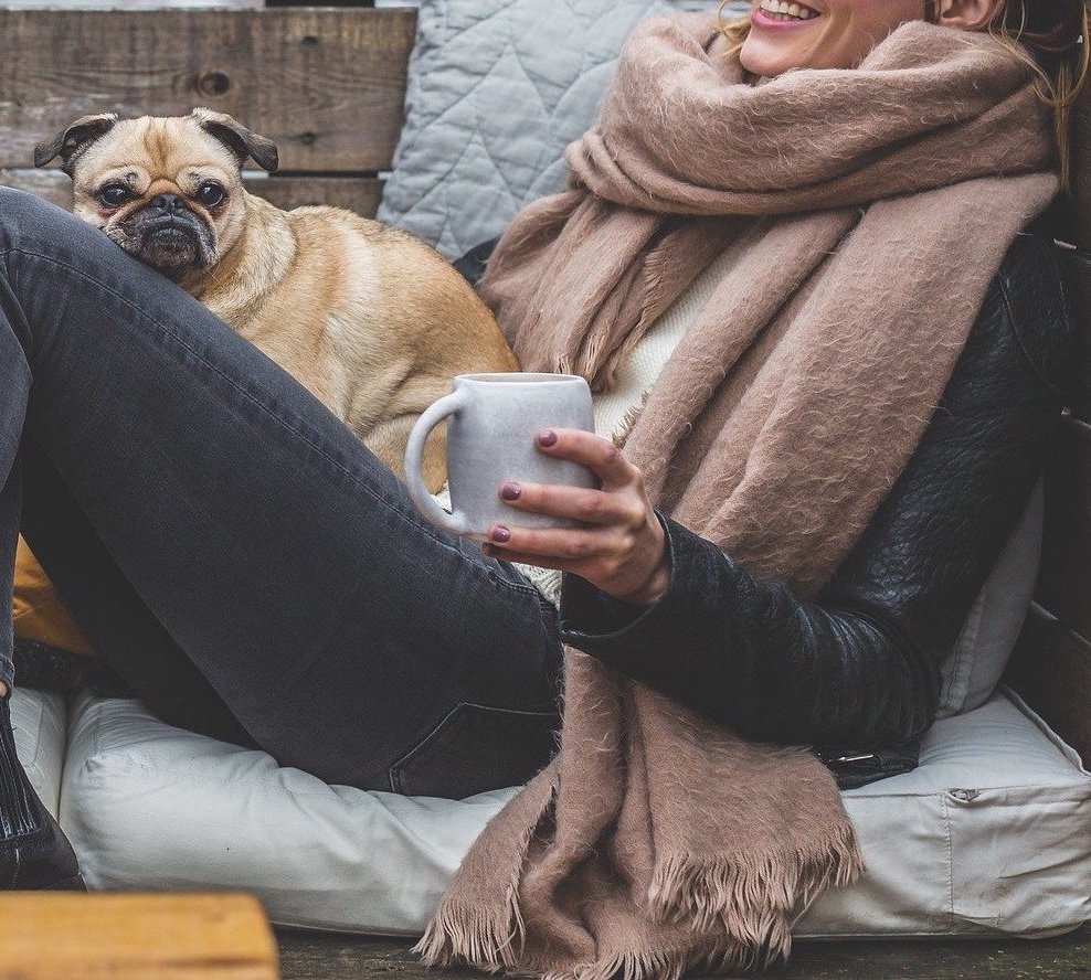 Veterinarian near me Dexter & Evie Vet Clinic, Best local animal clinic for pets near me, Dexter & Evie veterinary services overview, About Dexter & Evie Vet Clinic team and services, Trusted vet clinic near me for cats and dogs, Veterinarian near me | About us - Dexter & Evie Vet Clinic