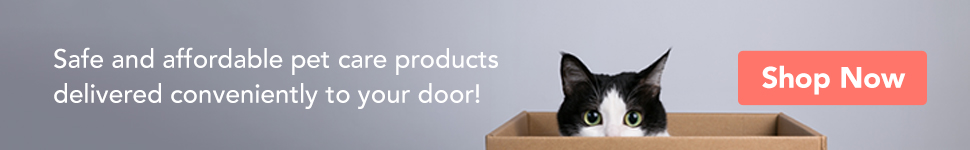 Veterinary clinic in Houston TX - Dexter & Evie Vet Clinic